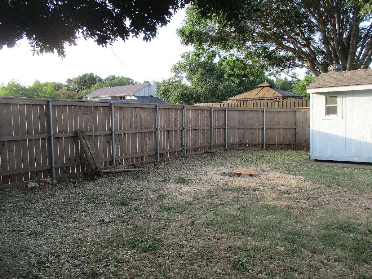 Cleared yard after professional tree removal in Lake Montezuma